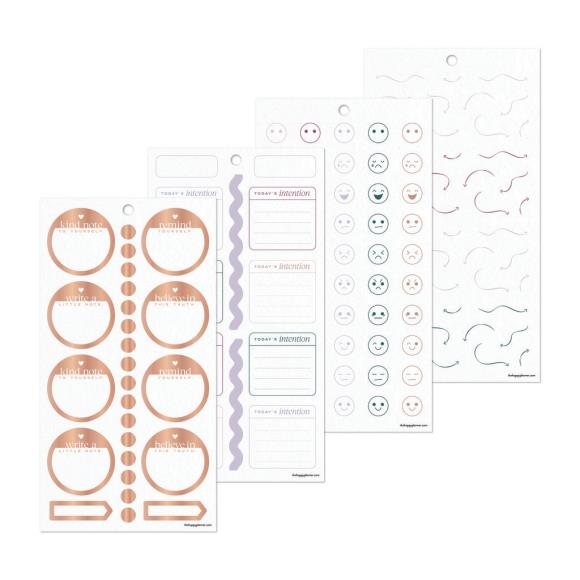 Happy Planner Classic Sticker Value Pack - Reflect & Grow