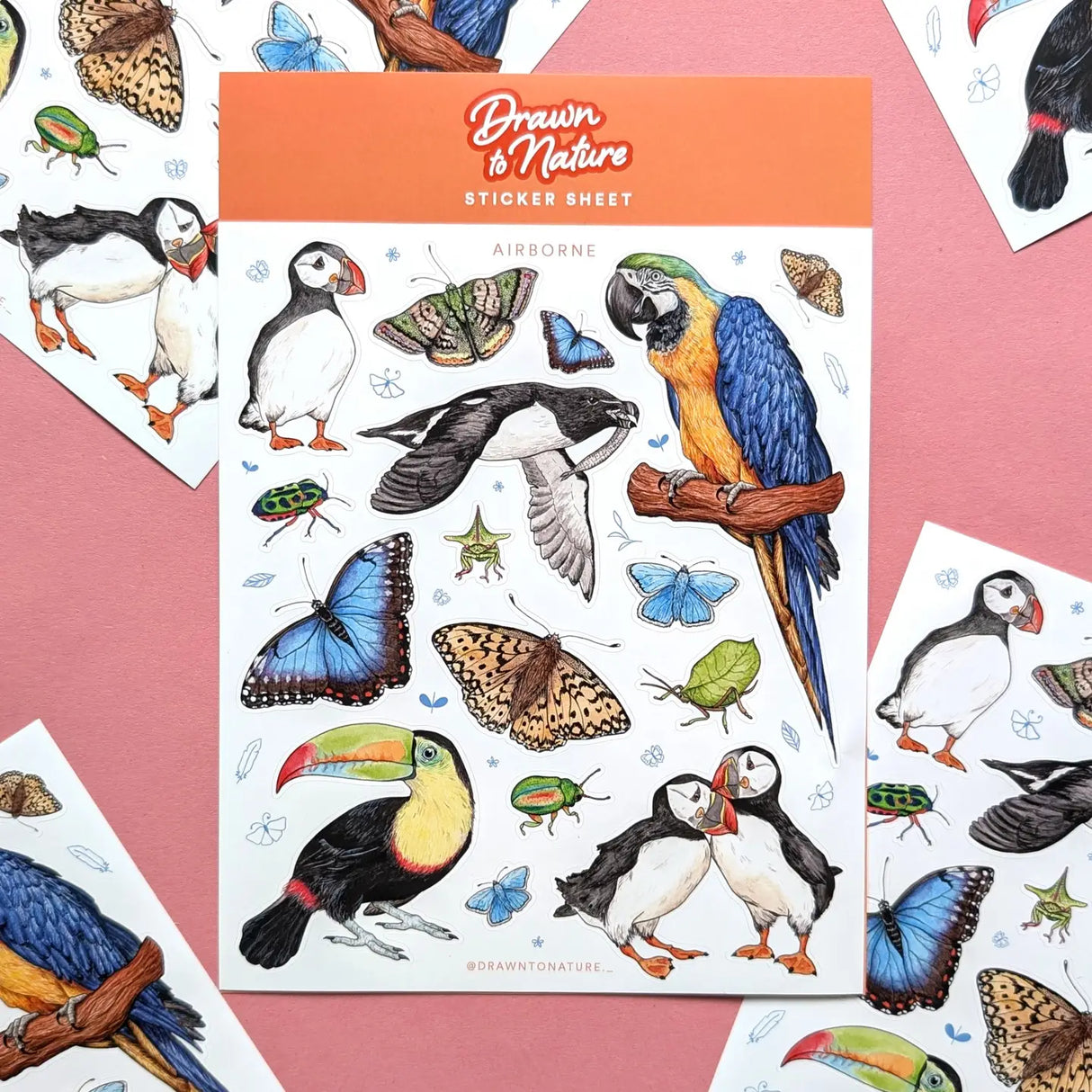 Drawn to Nature - Airborne Sticker Sheet