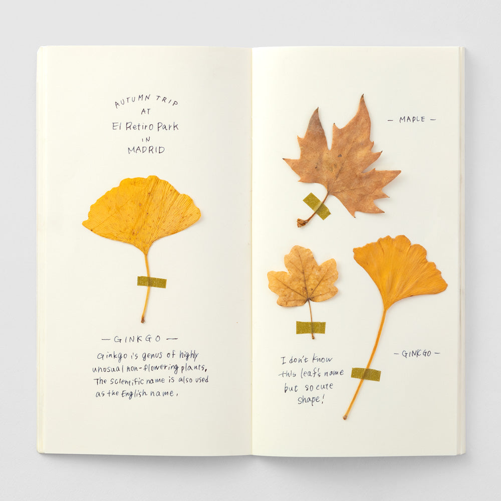 TRAVELER'S notebook 025 MD Paper Cream (Regular Size)