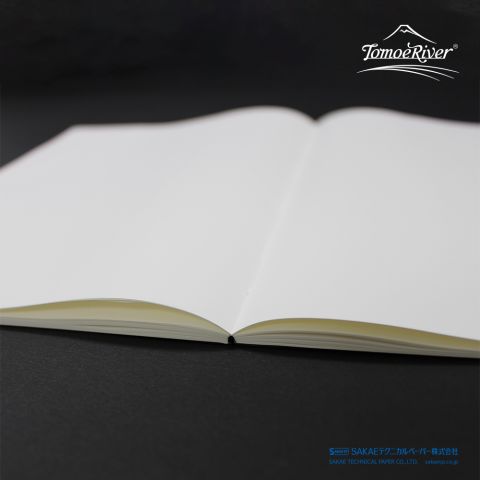 Tomoe River Softcover Notebook - A5 - Blank