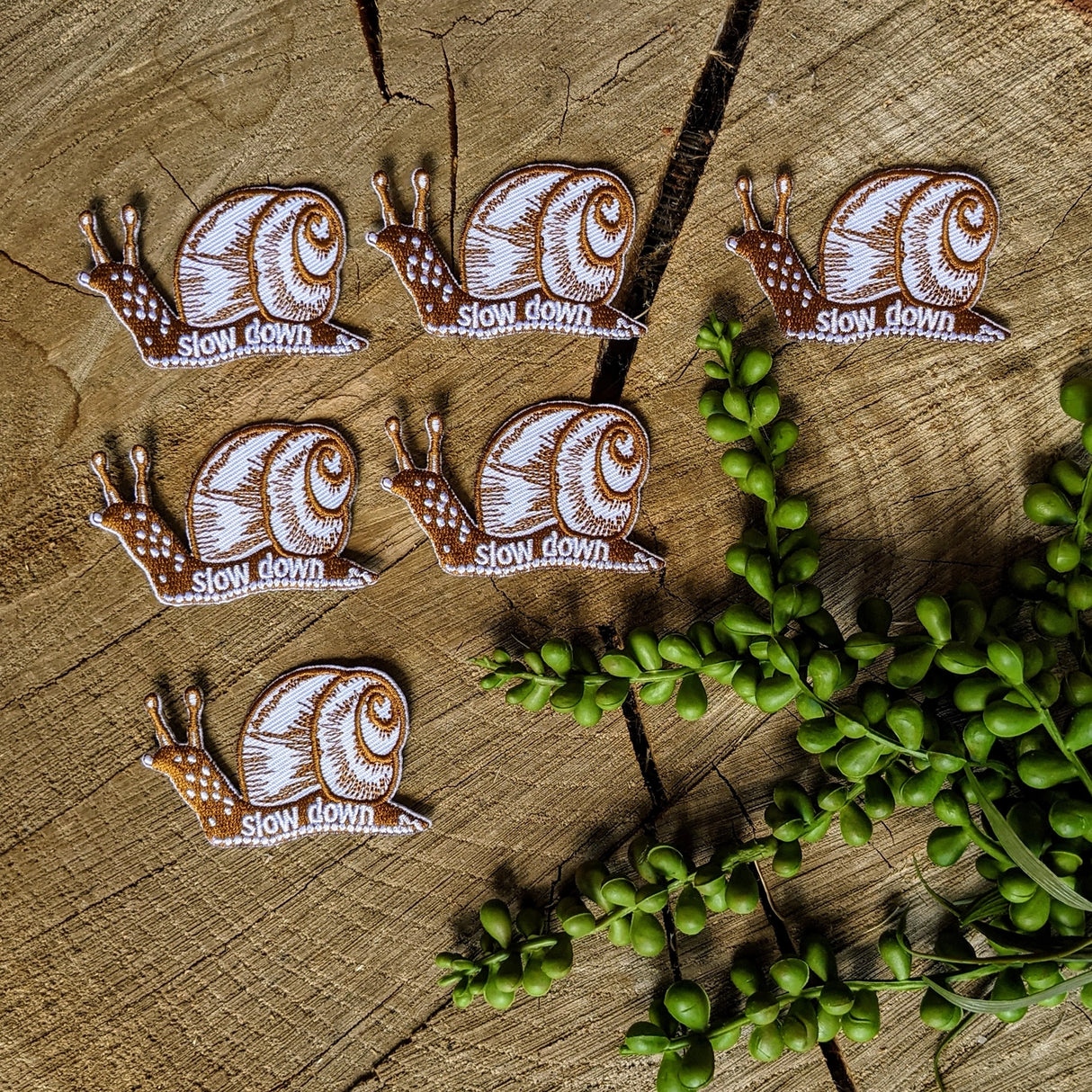 Slow Down Snail Patch