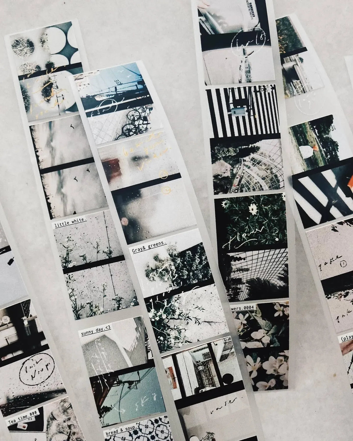 Some Sort of Fern Matte PET Tape - Half Day