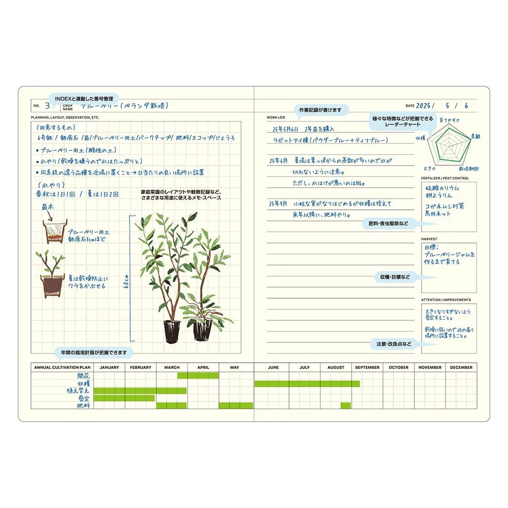 Laconic Style Notebook B6 - Green