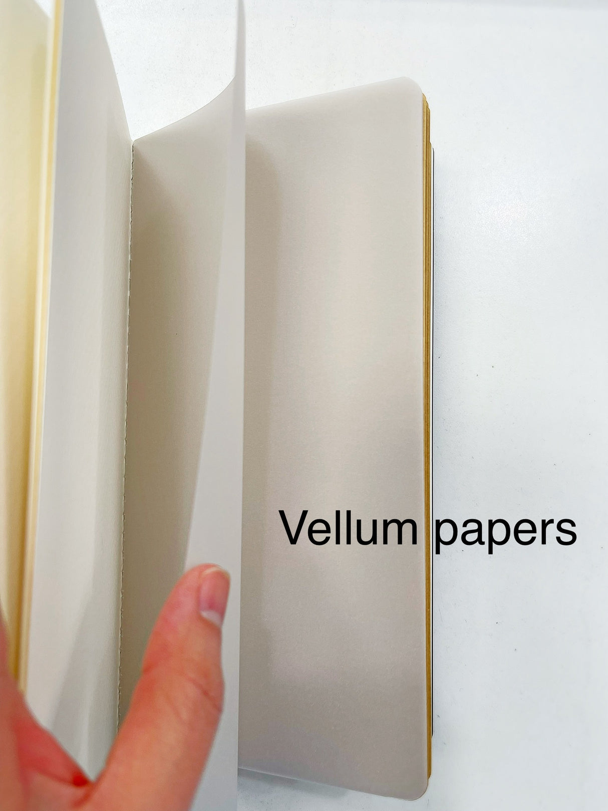 Passport Size Mixed Media Paper Prima Traveler's Journal Refill Notebook