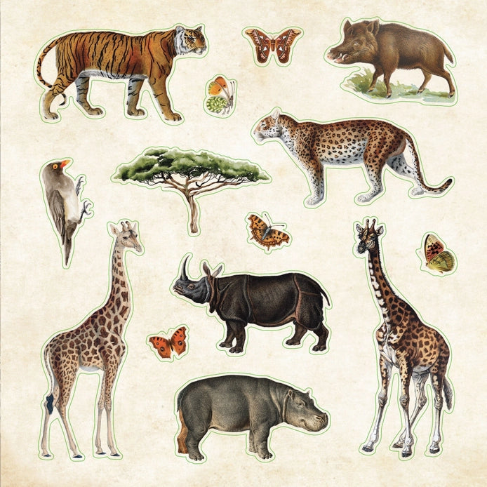Zoological Ephemera Sticker Book (680+ stickers)