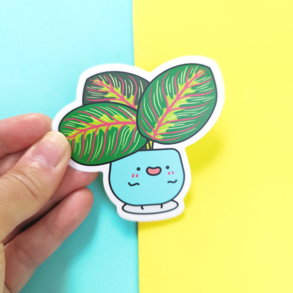 Prayer Plant Vinyl Sticker