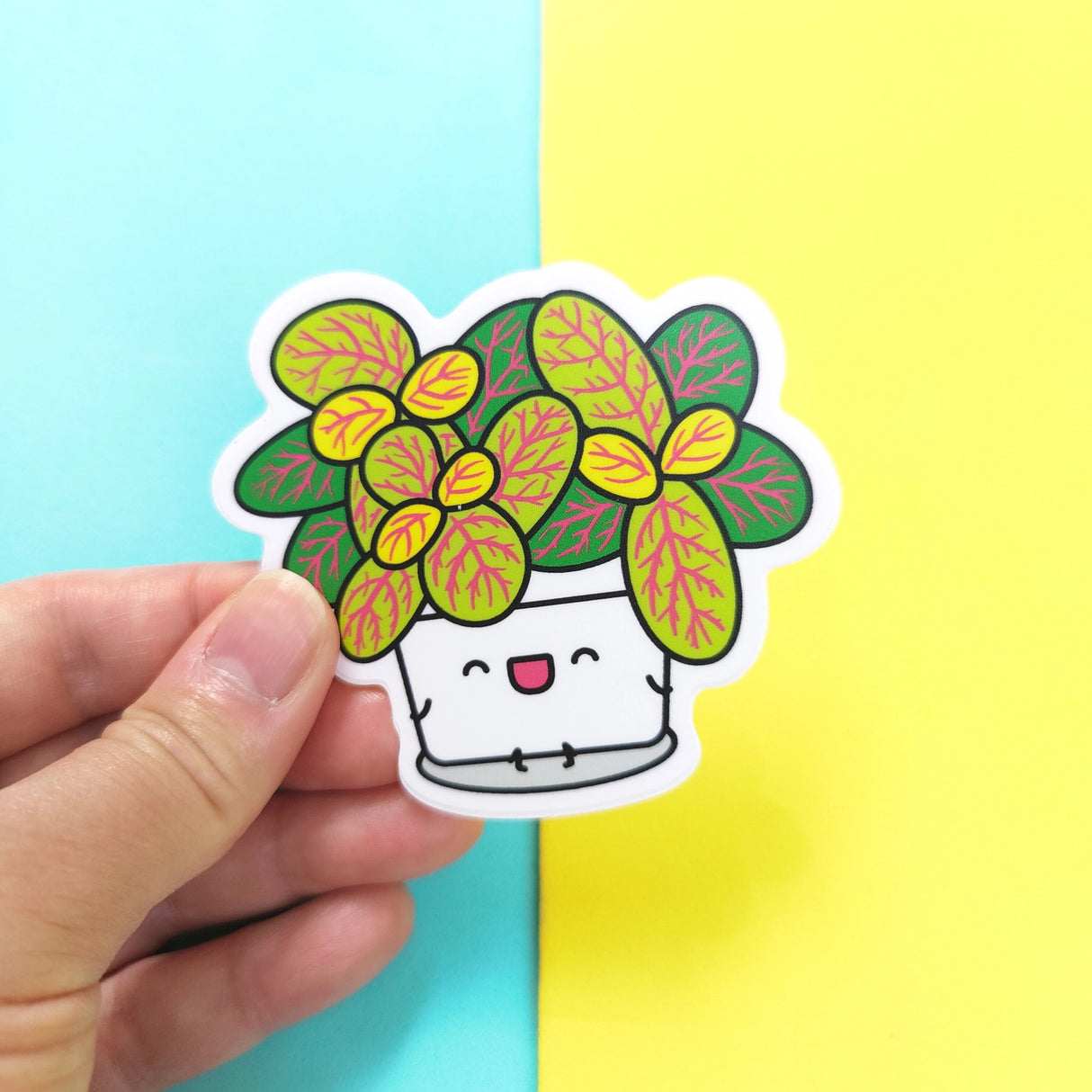 Fittonia Skeleton Plant Vinyl Sticker