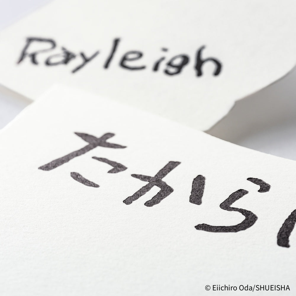 ONE PIECE magazine Vivre Card & Treasure Tab Letterpress Printed Card