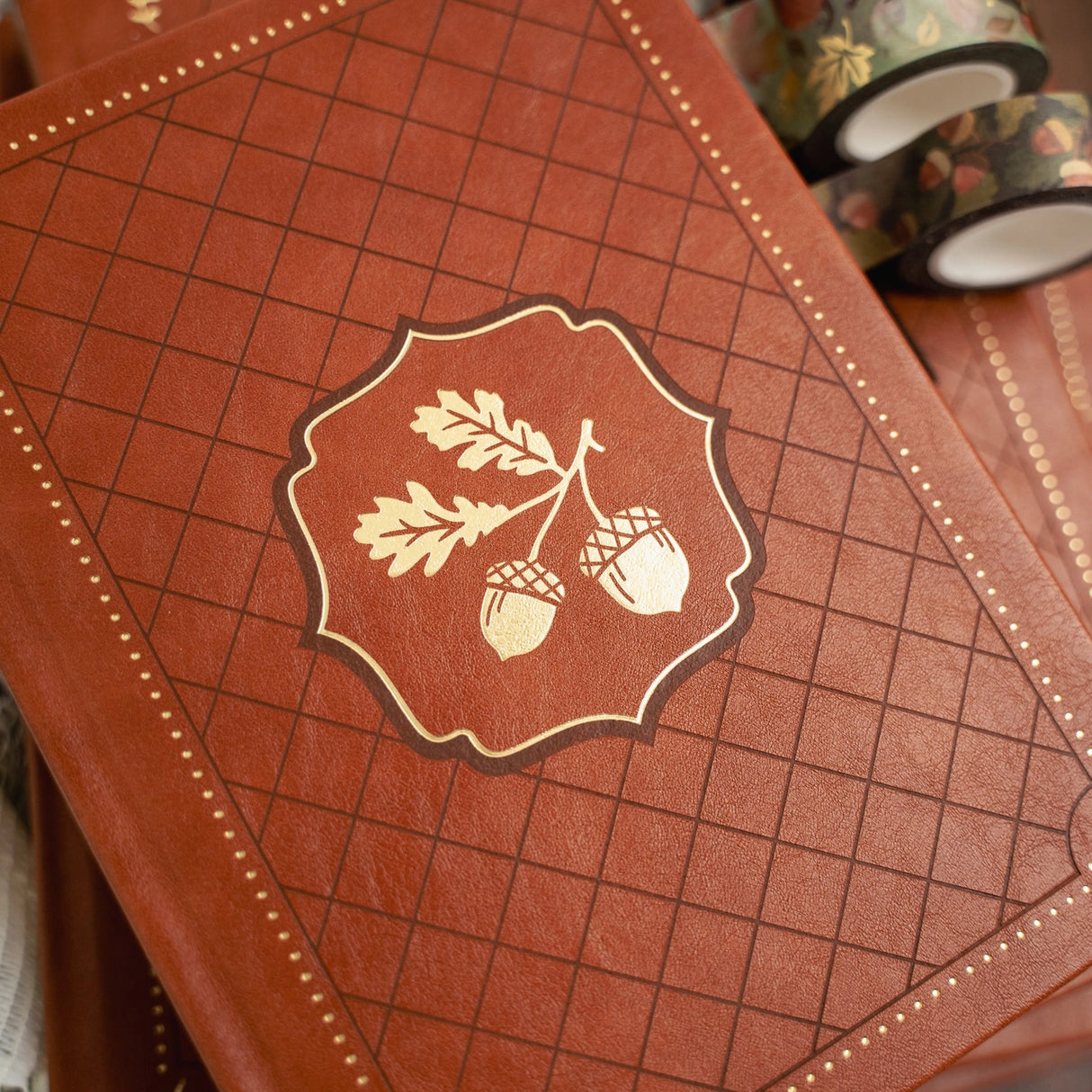 Archer and Olive TN Acorns: Dot Grid Notebook