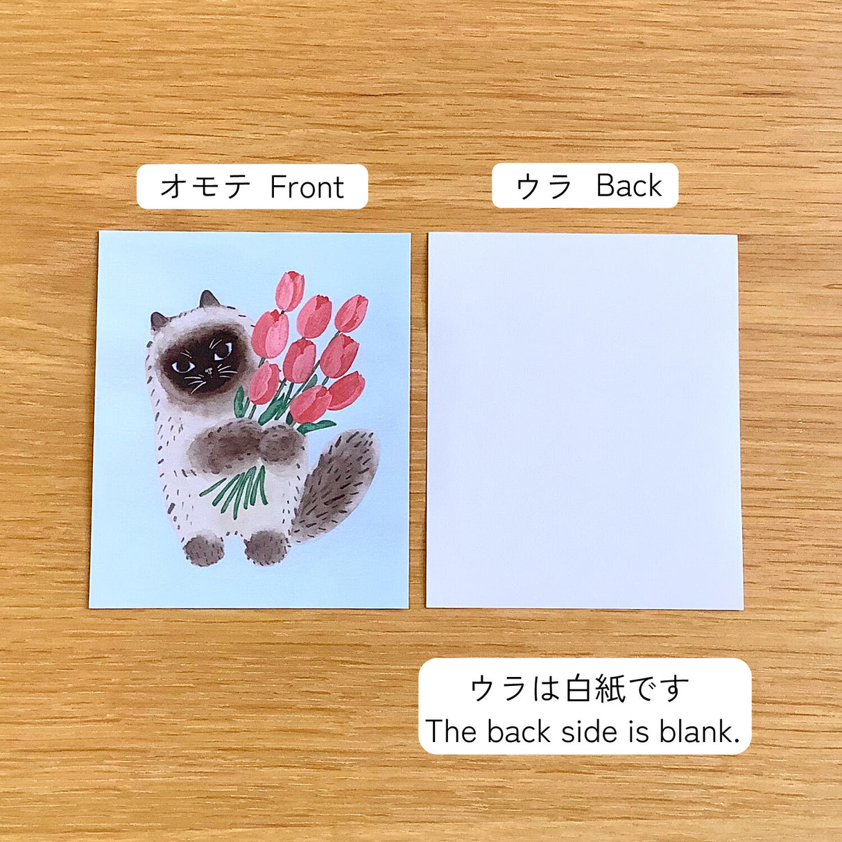 4legs Cat and Tulip Mini Paper (20 sheets)