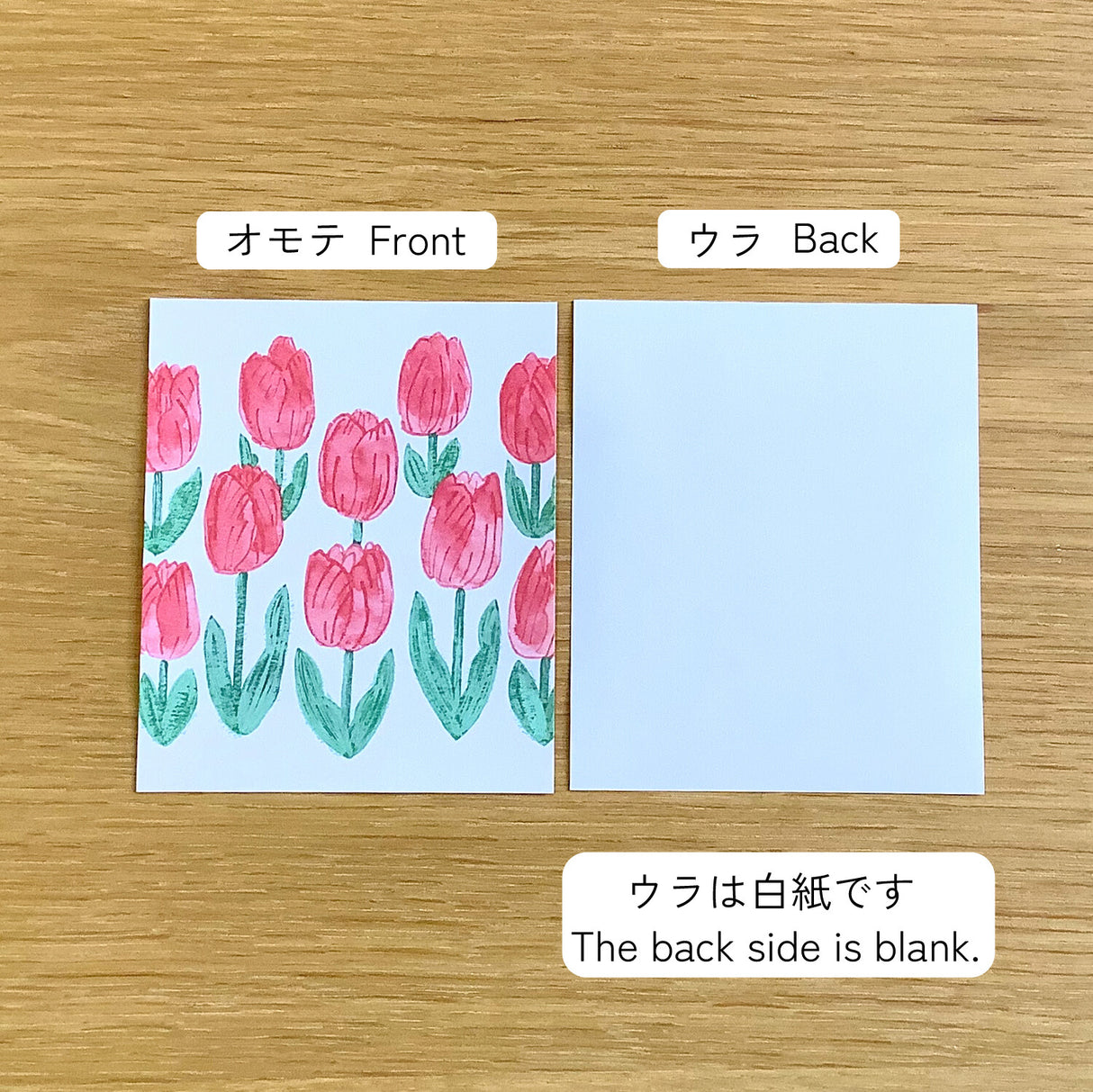 4legs Cat and Tulip Mini Paper (20 sheets)