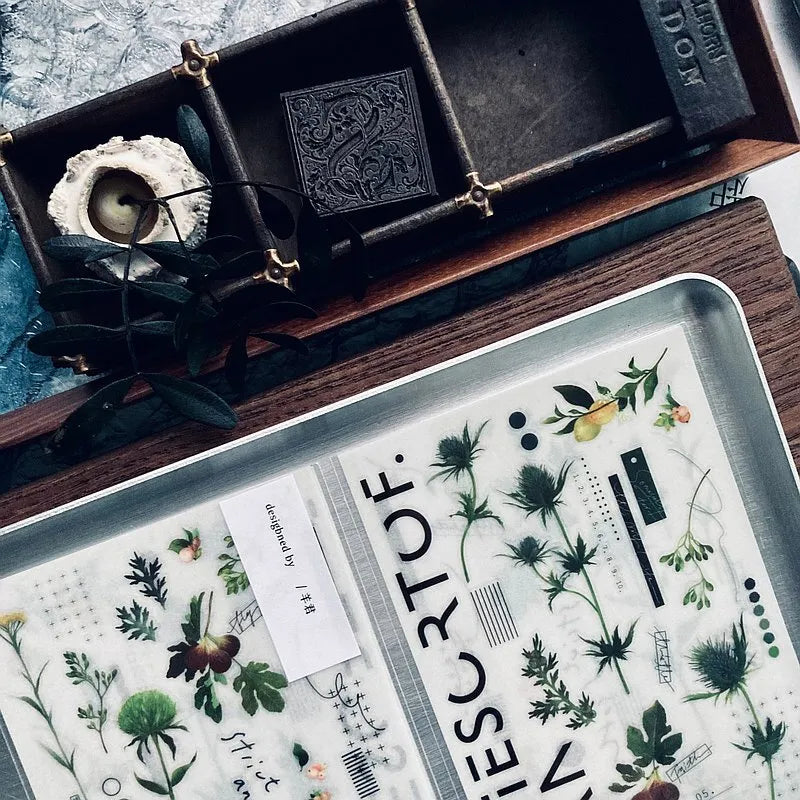 Some Sort of Fern Transfer Sticker - Thistle and Fruit