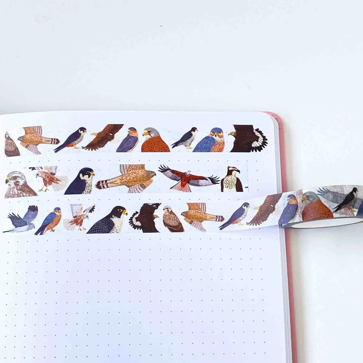 British Birds of Prey Washi Tape