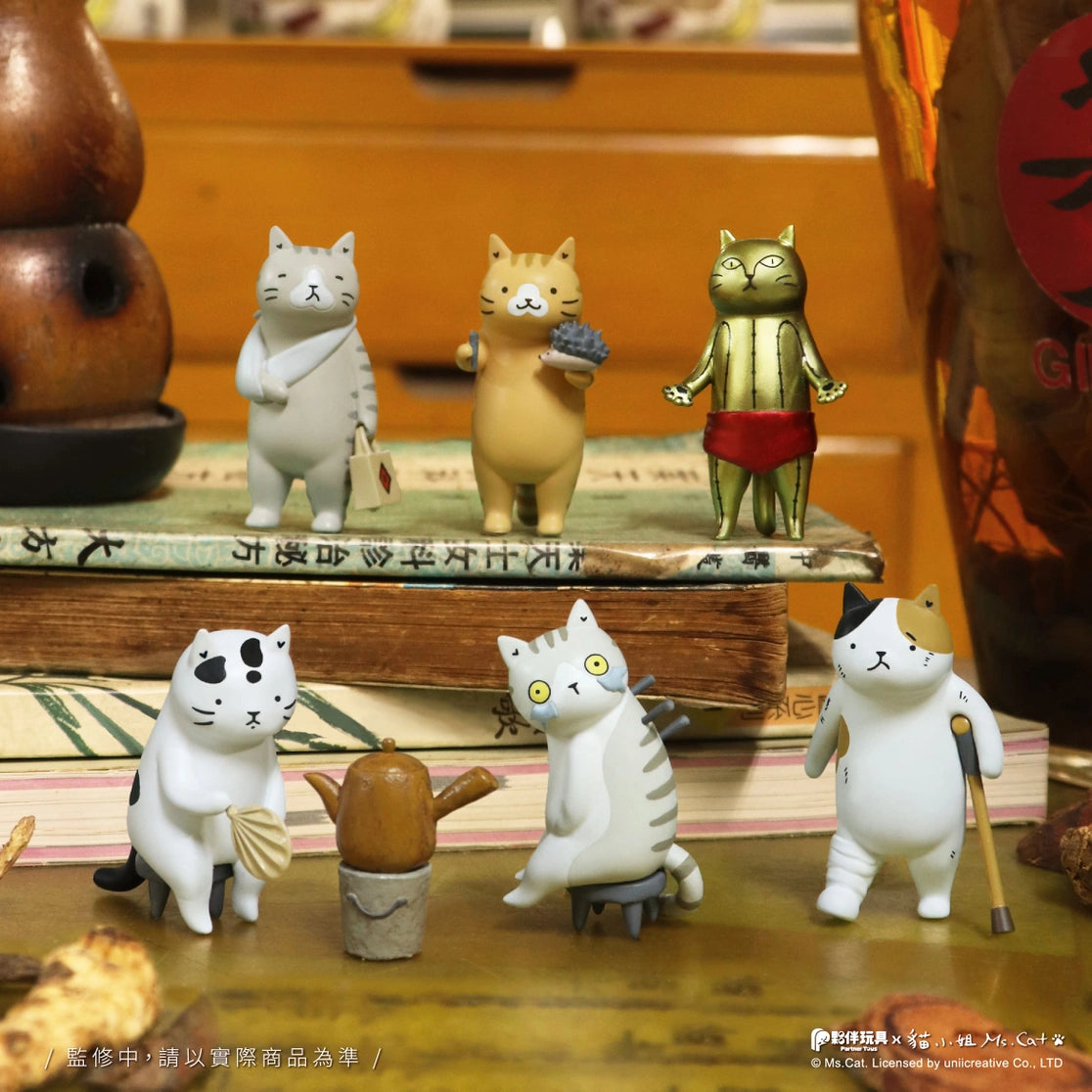 Cat Kung Fu Dojo Blind Box