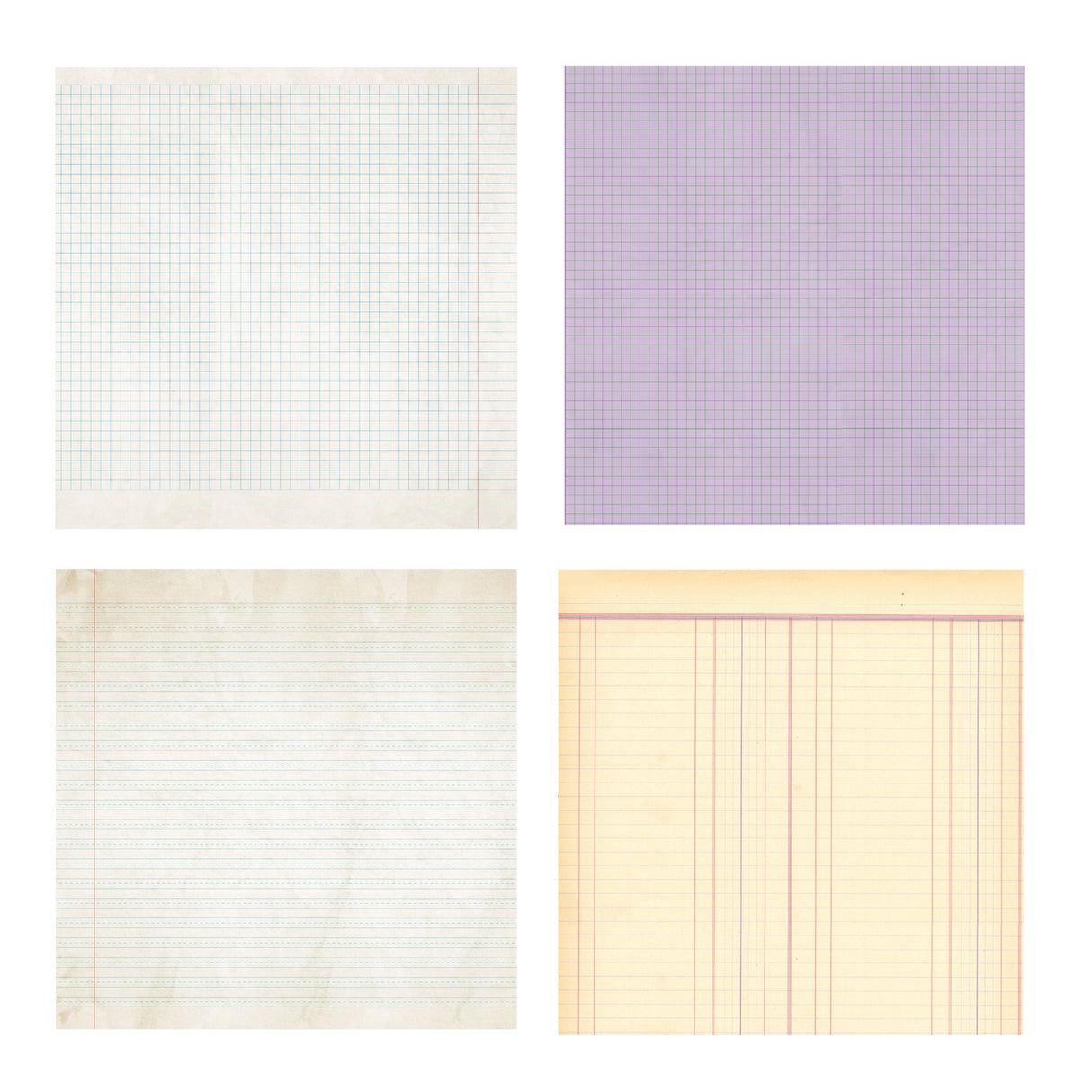Wildflower Collection - Ledger 6x6 Single Sided Paper Pack - 16 Sheets