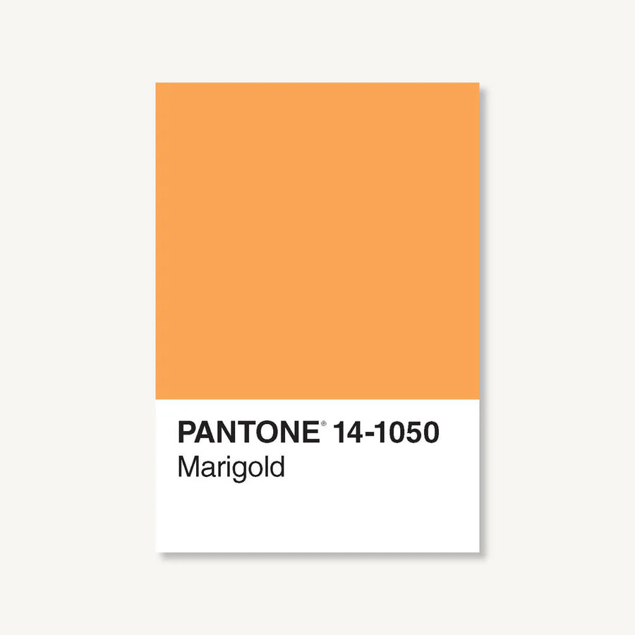 Pantone 50 Postcards