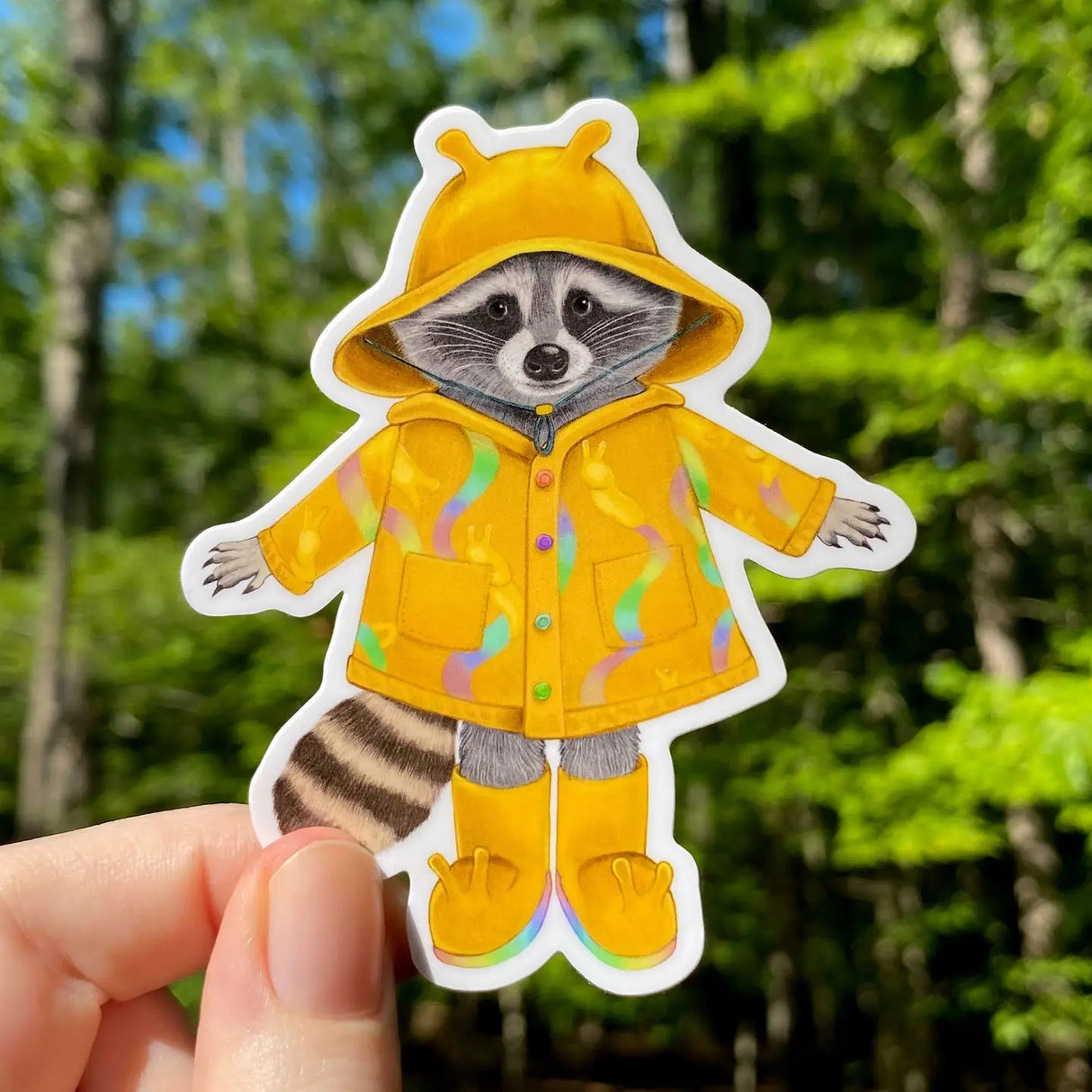 This weatherproof vinyl sticker features my illustration of a raccoon dressed up in banana slug rain gear.