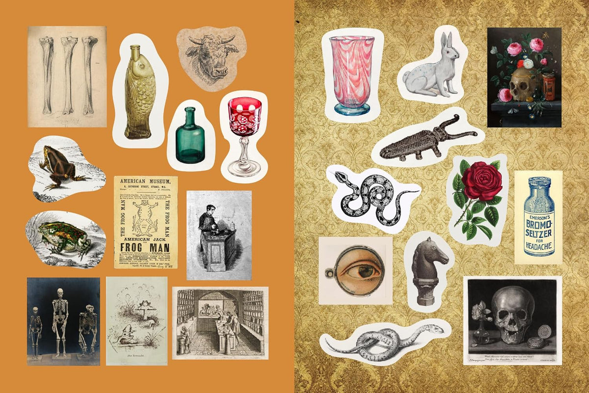 Brew up a world of wonder! With 500+ stickers and 50+ coloring and activity pages, explore the shelves of an old-world apothecary filled with remedies, recipes, and rare treasures.
Apothecaries, Remedies & Rarities Sticker, Color & Activity Book includes everything you need to spark your inner herbalist. From vintage potion bottles and pressed flowers, to celestial diagrams and mysterious labels, its pages capture the timeless charm of plant-based traditions and old-world curiosity.
Inside, you’ll find: