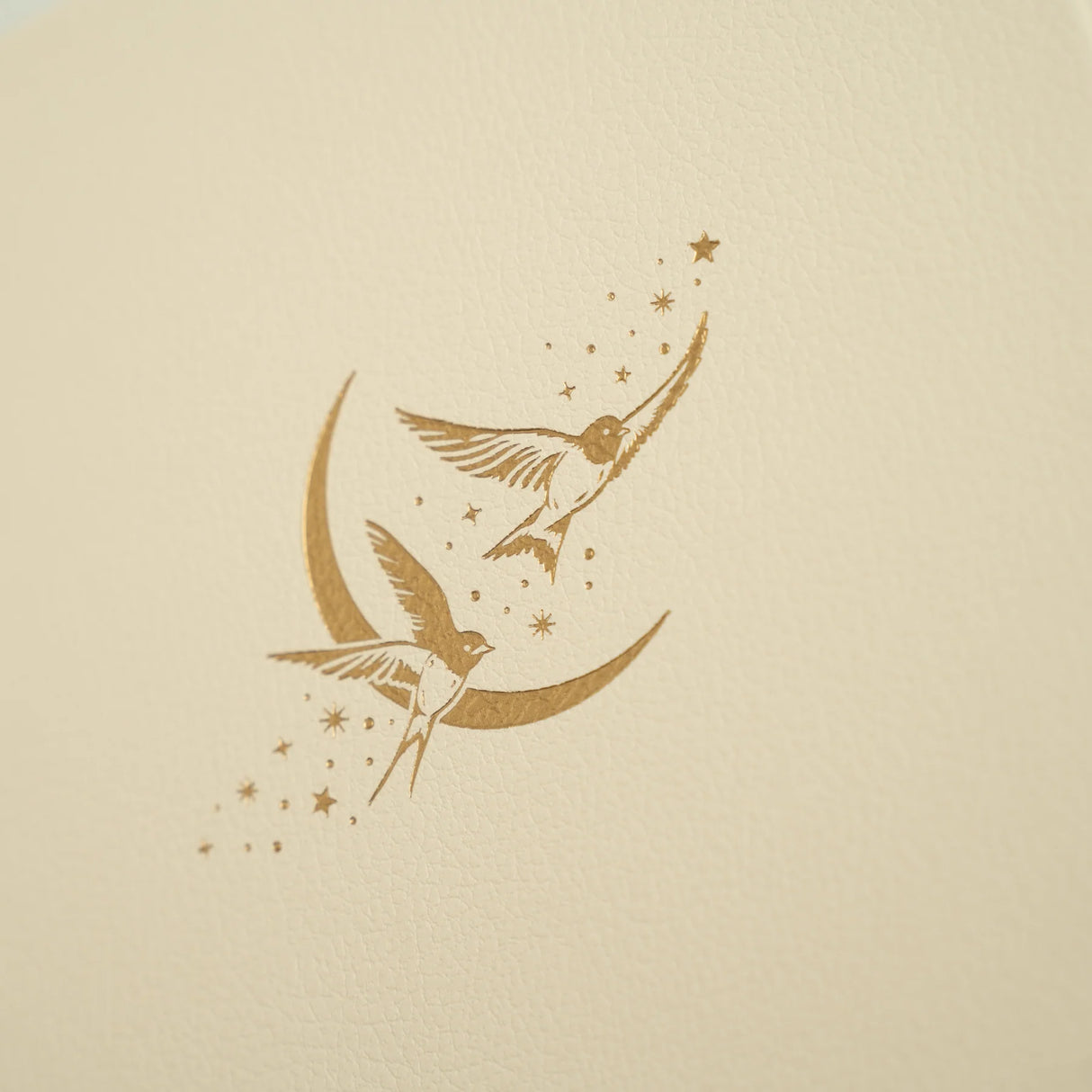 Archer and Olive B6 Swallows: Dot Grid Notebook