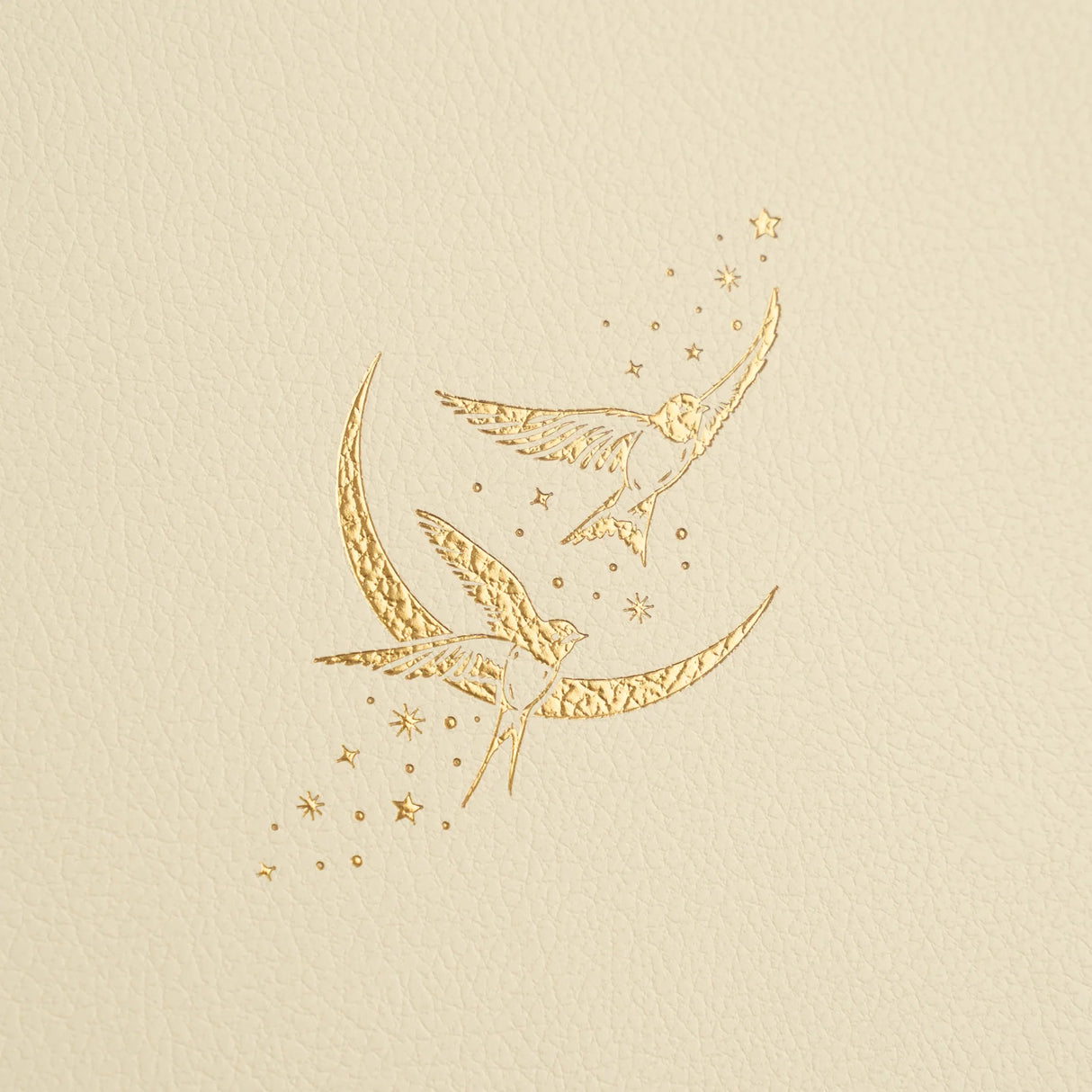 Archer and Olive B6 Swallows: Dot Grid Notebook