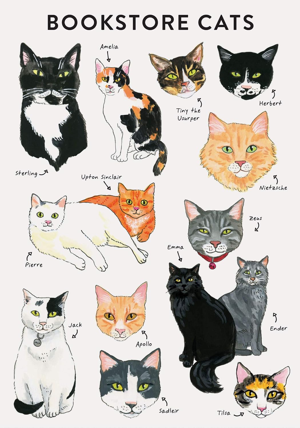 Bibliophile Flexi Journal: Bookstore Cats
Cats and books are the purrfect pair! This charming journal illustrated by Jane Mount is packed with cats from bookstores around the world on every page, from Emma Ender to Tiny the Usurper.
