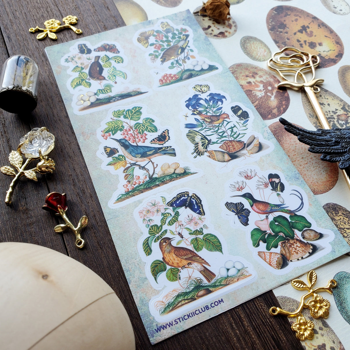 π π¦ Isn't nature just amazing? This sheet showcases a few of Mother Earth's precious gems. With birds, butterflies, plants, and seashells in the mix, it's like you're bird and butterfly watching right from your pages!
