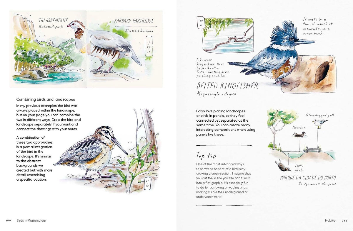 Birds in Watercolour: A Beginner's Guide to Drawing and Painting Birds
Discover the joy of drawing and painting birds with this inspiring, accessible guide for bird lovers, budding artists and nature journalers.