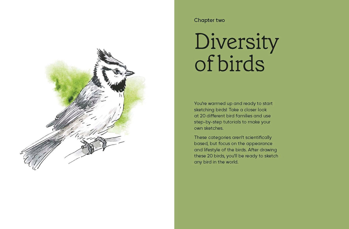 Birds in Watercolour: A Beginner's Guide to Drawing and Painting Birds
Discover the joy of drawing and painting birds with this inspiring, accessible guide for bird lovers, budding artists and nature journalers.
