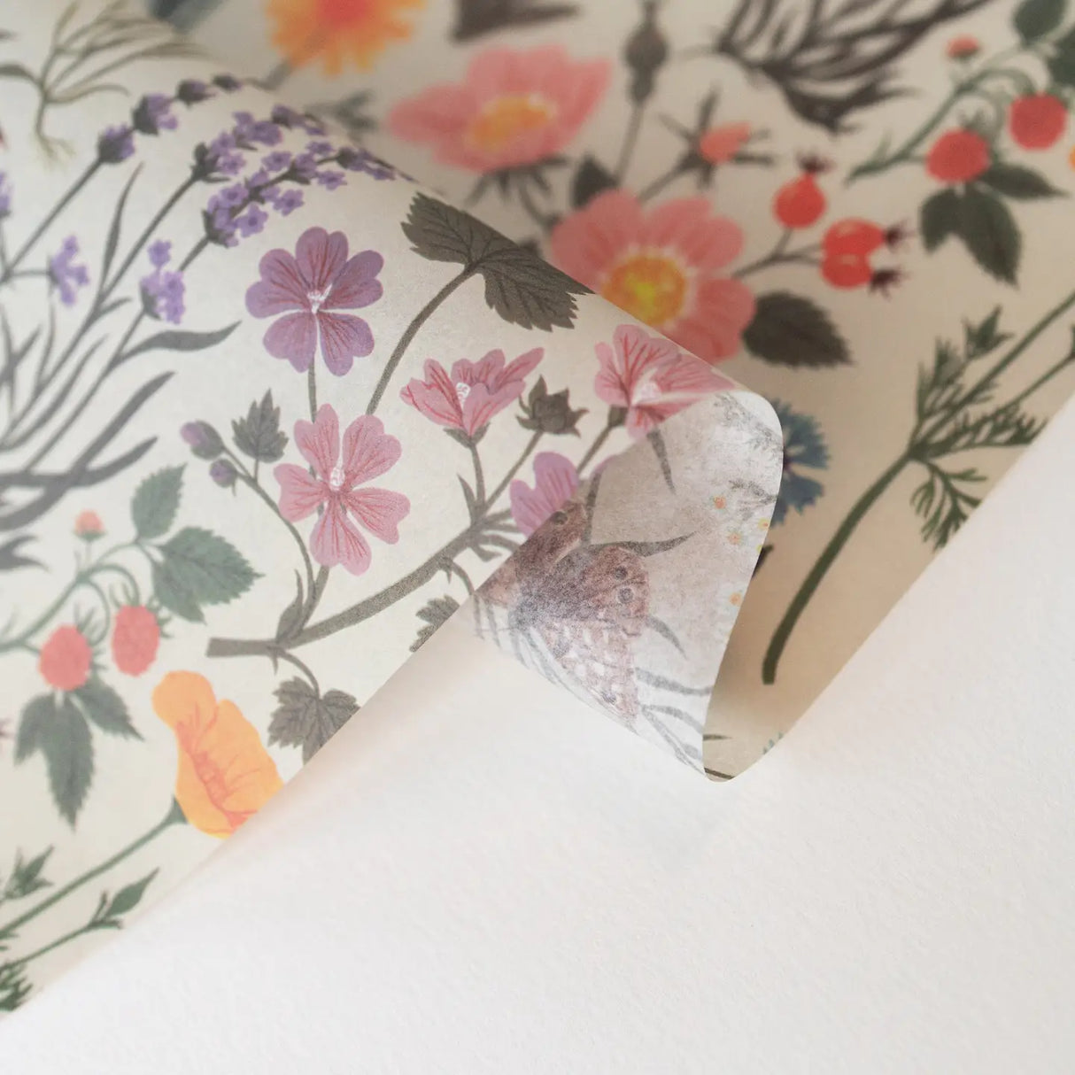 Luxurious patterned tissue paper for an exquisite wrapping experience and delightful craft projects.
Pack of 10 sheets
Size: 15" x 20"
Folded and packaged in a clear protective sleeve
Printed with soy-based inks
Recycled and compostable paper