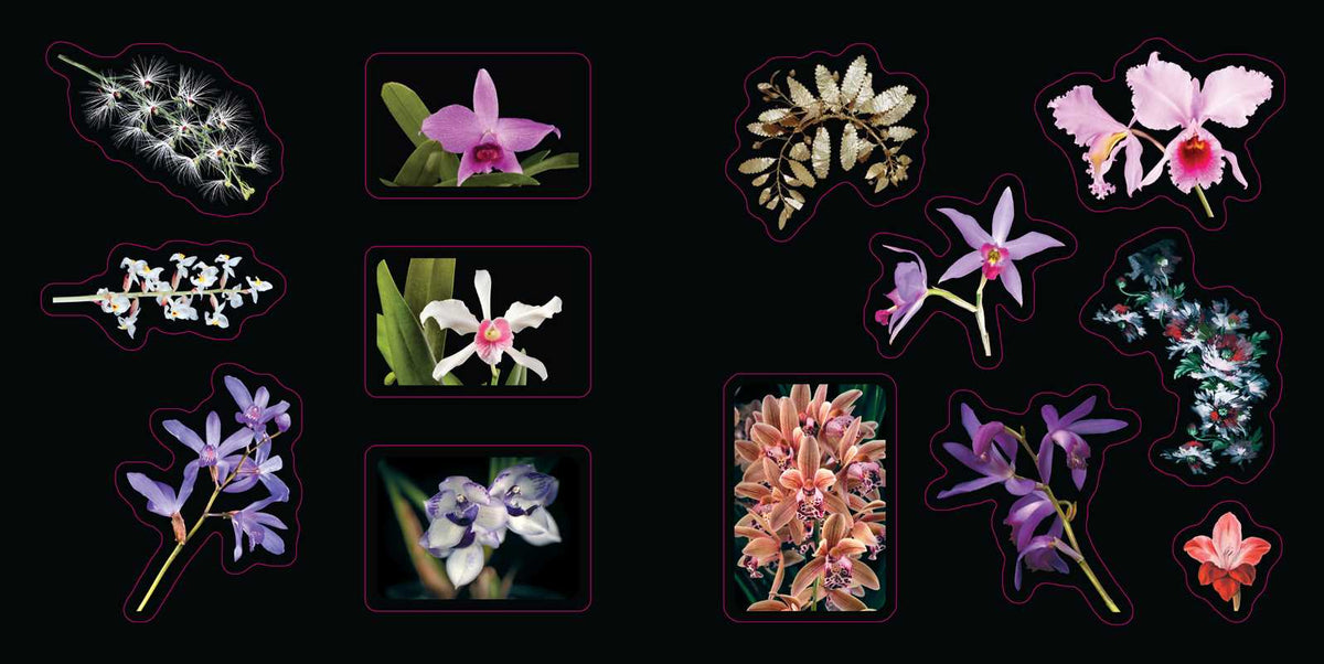 Botanicals: A Smithsonian Sticker Book By the Smithsonian Institution