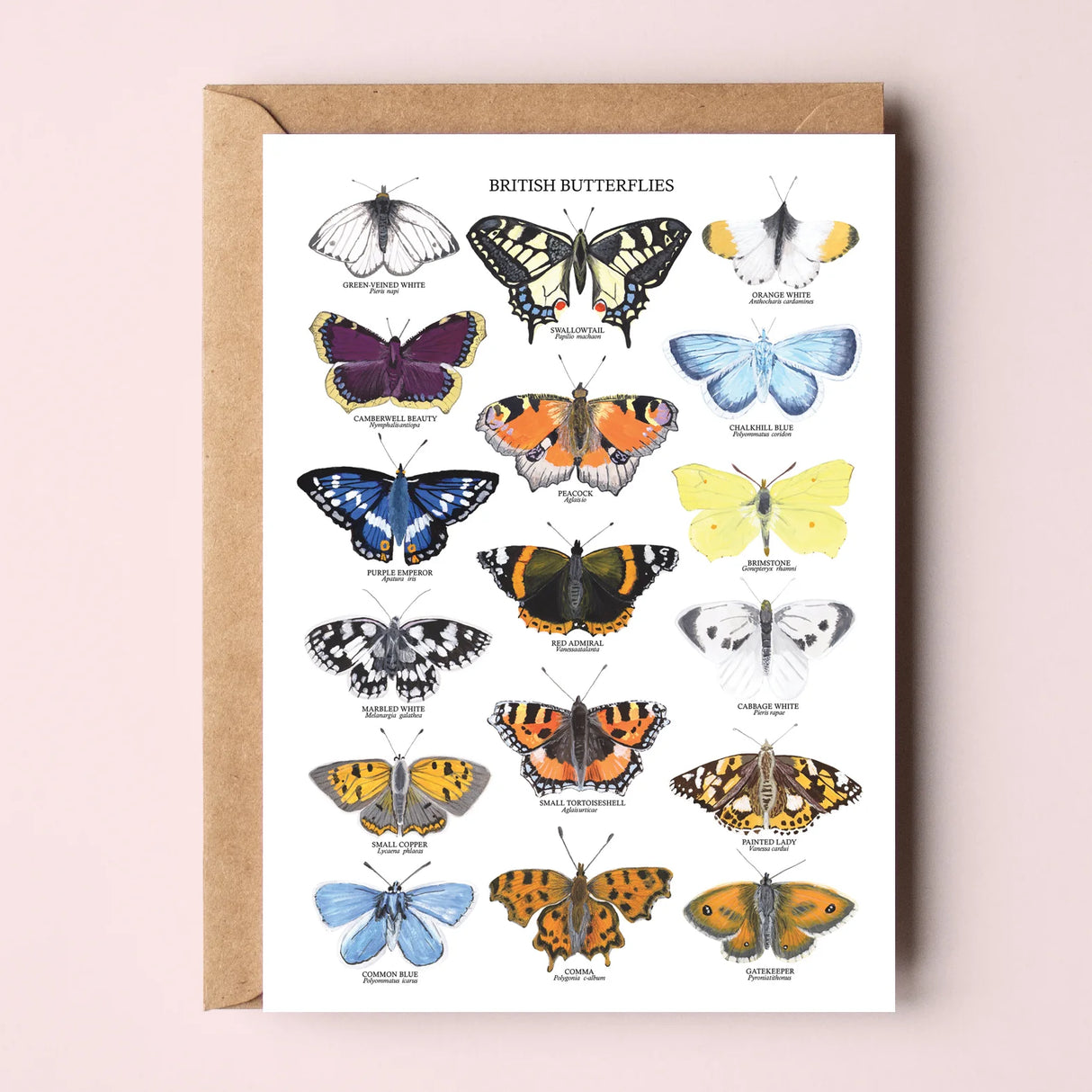 British Butterflies Greetings Card