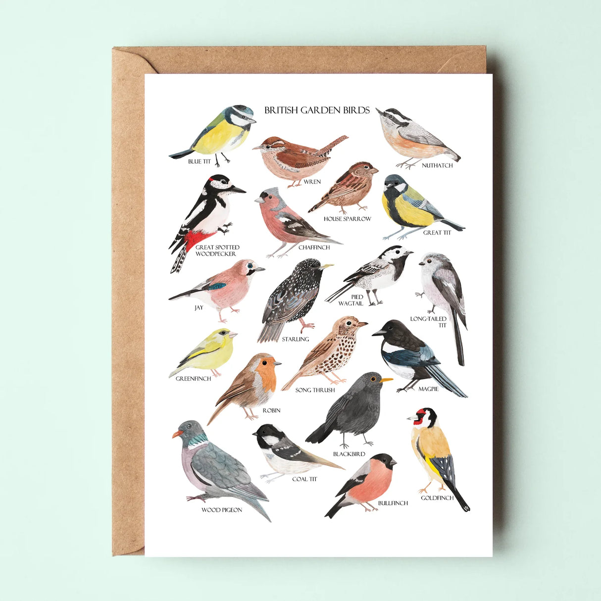British Garden Birds Greetings Card