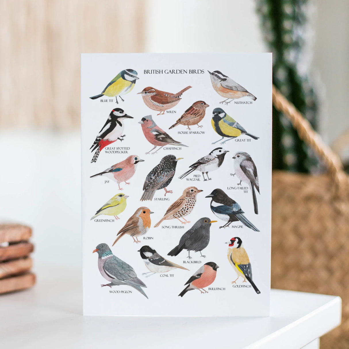 British Garden Birds Greetings Card
