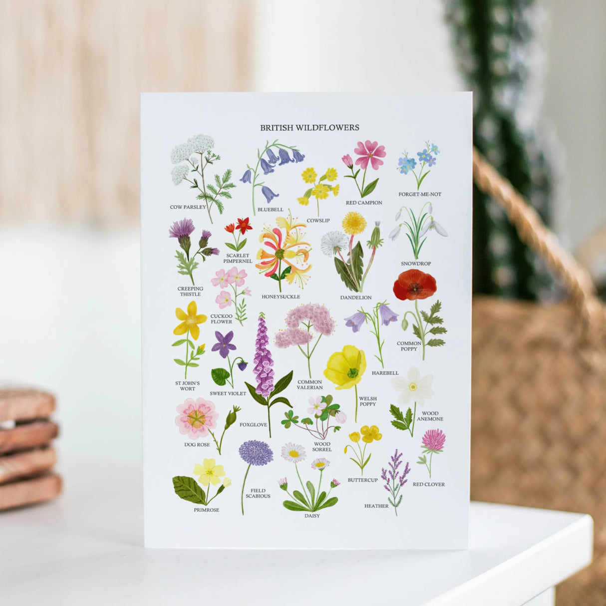 British Wildflowers Greetings Card