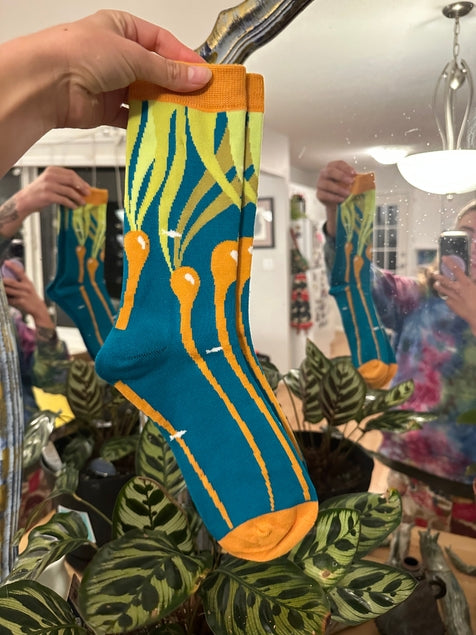 Bull Kelp Socks