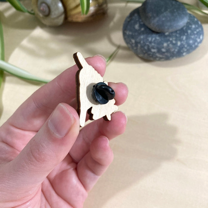 Pin de madera de carbonero de Carolina sobre helecho