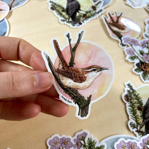 Carolina Wren Vinyl Sticker