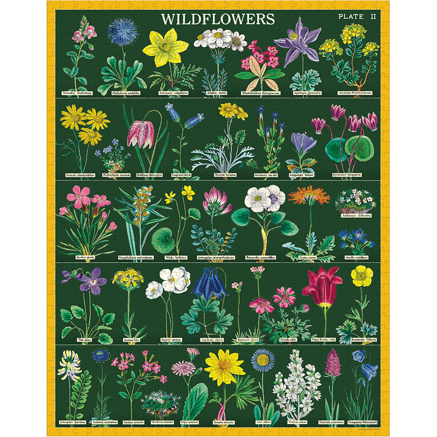 Cavallini & Co 1,000 Piece Puzzle - Wildflowers 2