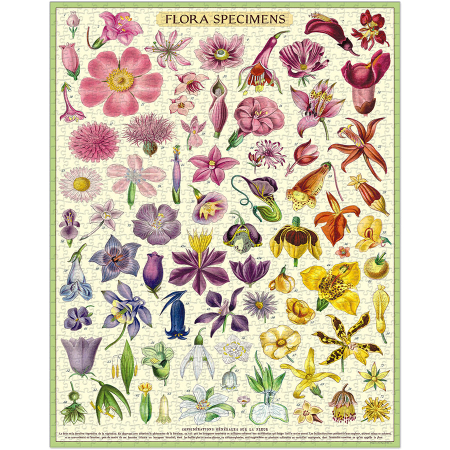 Cavallini & Co 1,000 Piece Puzzle - Flora Specimens