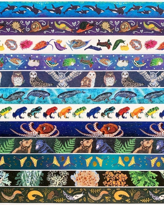 Cinta washi de caracol