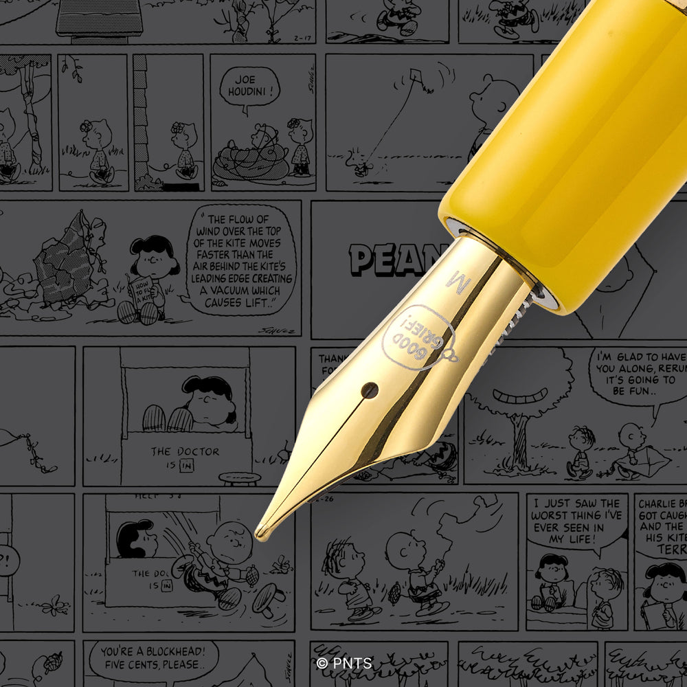 Esterbrook x PEANUTS Charlie Estie