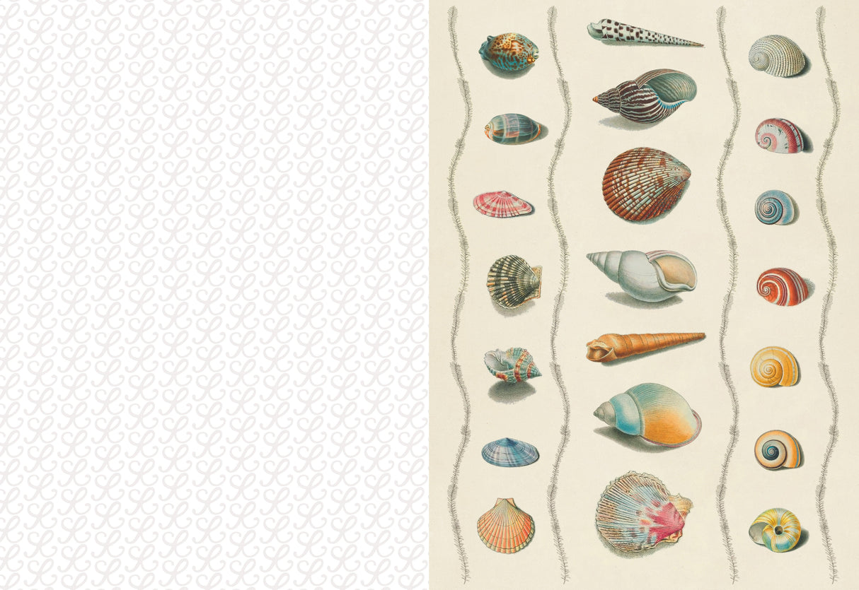 Collage Compendium - 2,000 Images to Cut Out & Collage