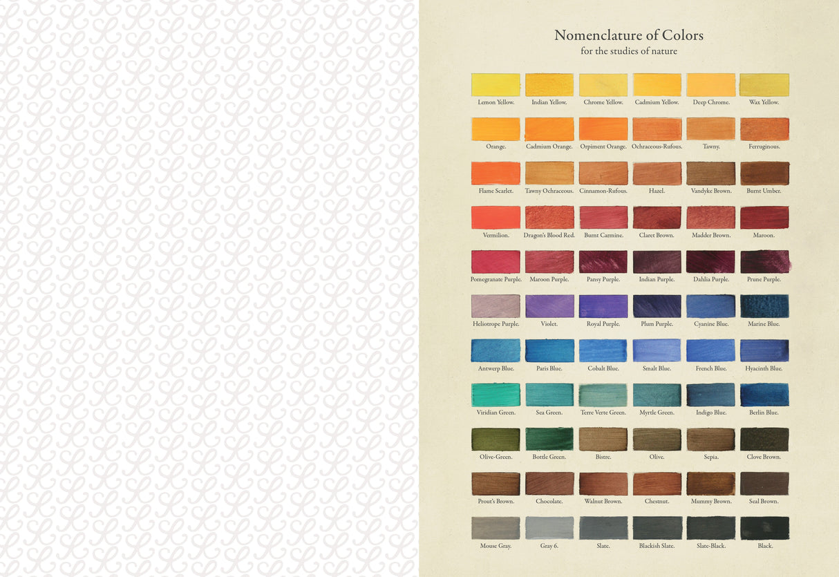 Collage Compendium - 2,000 Images to Cut Out & Collage