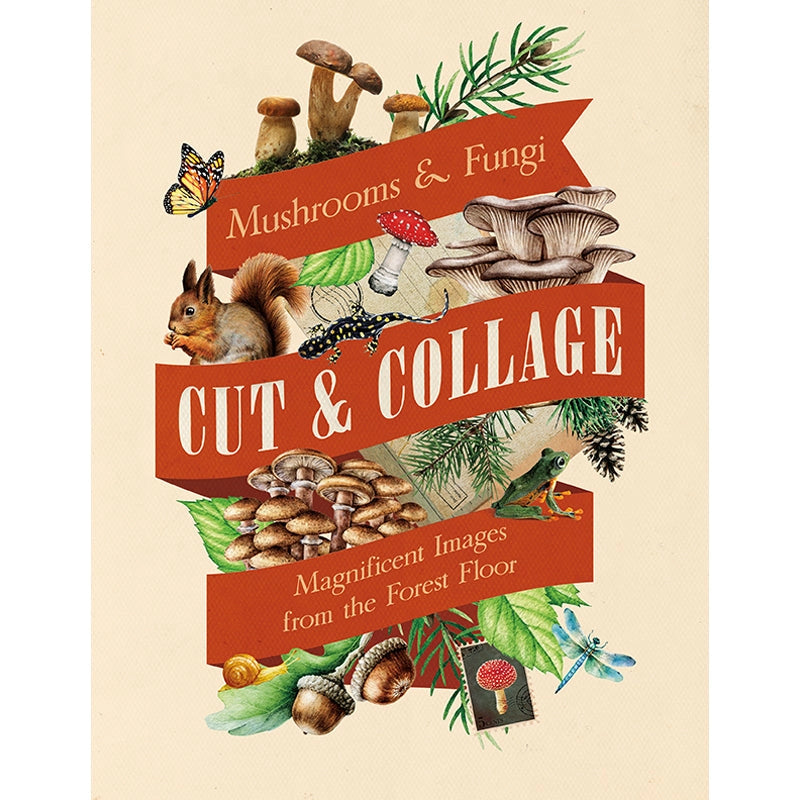 Featuring more than 400 photos and illustrations, Cut & Collage Mushrooms and Fungi invites you to cut out and piece together your own works of art inspired by the treasures found on the forest floor.
Let your creativity and imagination roam free as you create collages, scrapbooks, vision boards, and more by mixing and matching vibrant colors and textures. Stunning photographs and illustrations on high-quality glossy paper showcase the beauty and magic of the fungus kingdom, including macro photography