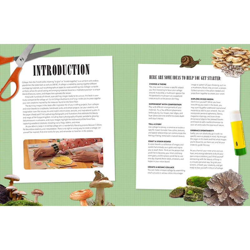 Featuring more than 400 photos and illustrations, Cut & Collage Mushrooms and Fungi invites you to cut out and piece together your own works of art inspired by the treasures found on the forest floor.
Let your creativity and imagination roam free as you create collages, scrapbooks, vision boards, and more by mixing and matching vibrant colors and textures. Stunning photographs and illustrations on high-quality glossy paper showcase the beauty and magic of the fungus kingdom, including macro photography