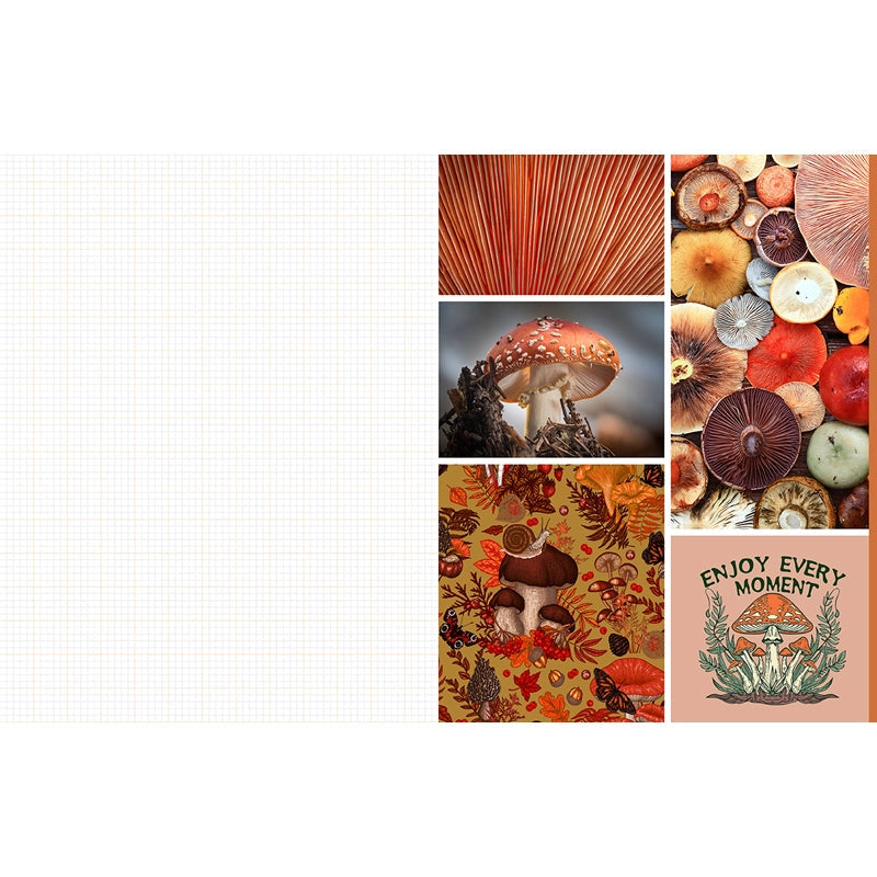 Featuring more than 400 photos and illustrations, Cut & Collage Mushrooms and Fungi invites you to cut out and piece together your own works of art inspired by the treasures found on the forest floor.
Let your creativity and imagination roam free as you create collages, scrapbooks, vision boards, and more by mixing and matching vibrant colors and textures. Stunning photographs and illustrations on high-quality glossy paper showcase the beauty and magic of the fungus kingdom, including macro photography