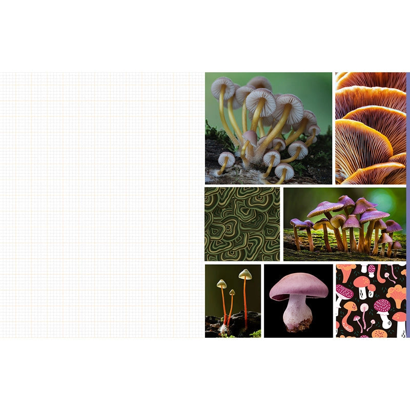 Featuring more than 400 photos and illustrations, Cut & Collage Mushrooms and Fungi invites you to cut out and piece together your own works of art inspired by the treasures found on the forest floor.
Let your creativity and imagination roam free as you create collages, scrapbooks, vision boards, and more by mixing and matching vibrant colors and textures. Stunning photographs and illustrations on high-quality glossy paper showcase the beauty and magic of the fungus kingdom, including macro photography