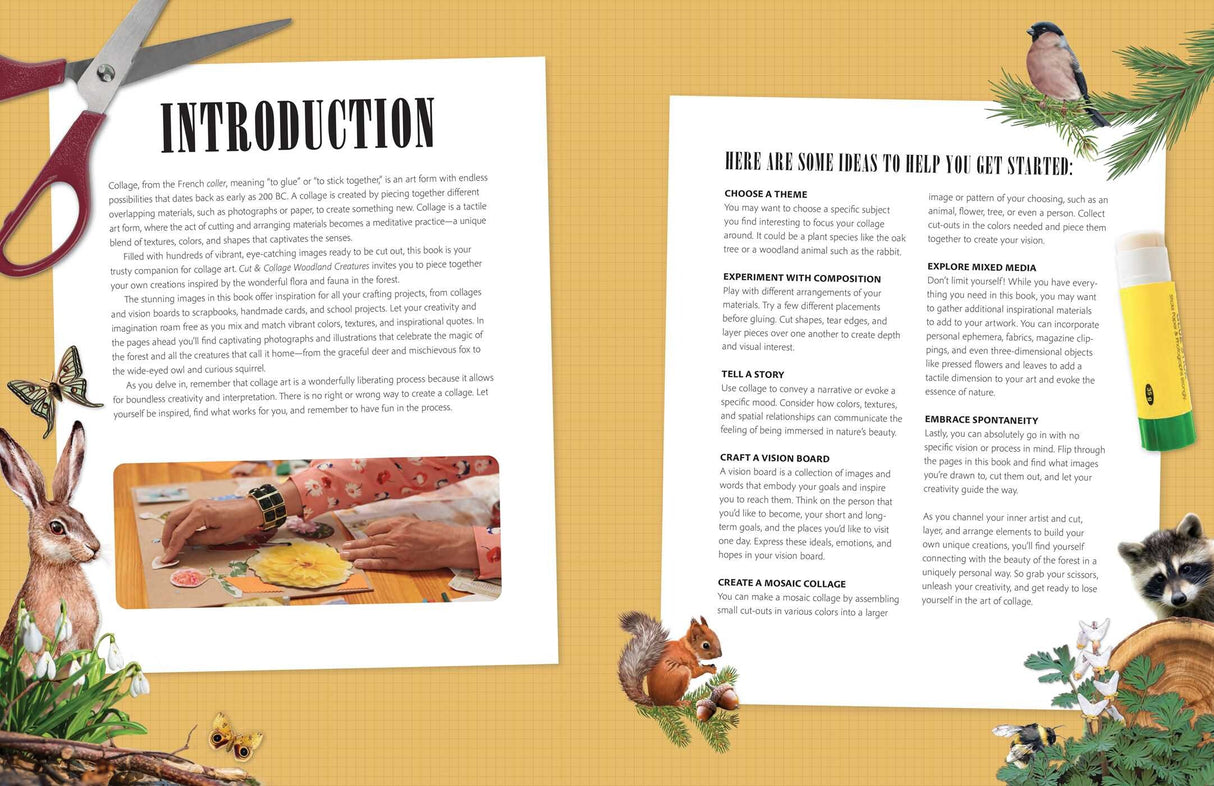 Celebrate the natural beauty of the forest and all the amazing creatures that call it home with vibrant, full-color images ready for you to add to collages, vision boards, scrapbooks, greeting cards, and more. From photographs of wide-eyed owls and bushy-tailed squirrels to botanical illustrations and inspirational quotes, Cut & Collage Woodland Creatures captures the biodiversity and magic of the forest, adding endless possibilities to all of your crafting projects. The only limit is your imagination.