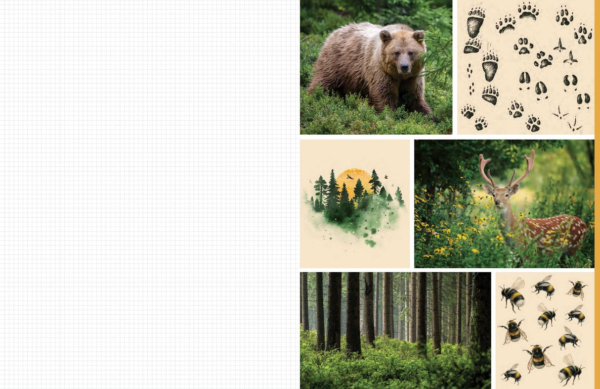 Celebrate the natural beauty of the forest and all the amazing creatures that call it home with vibrant, full-color images ready for you to add to collages, vision boards, scrapbooks, greeting cards, and more. From photographs of wide-eyed owls and bushy-tailed squirrels to botanical illustrations and inspirational quotes, Cut & Collage Woodland Creatures captures the biodiversity and magic of the forest, adding endless possibilities to all of your crafting projects. The only limit is your imagination.
