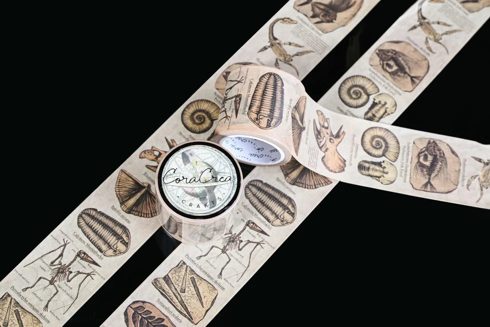 Vintage Fossils Washi Tape